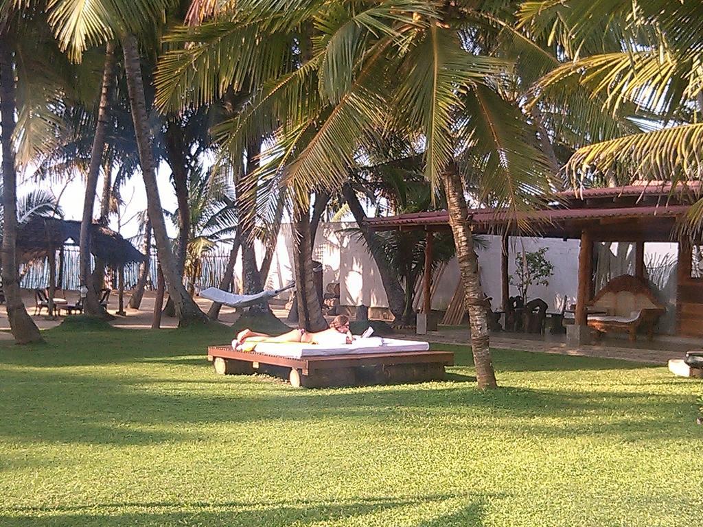 Cocovilla Boutique Resort Bentota Eksteriør bilde