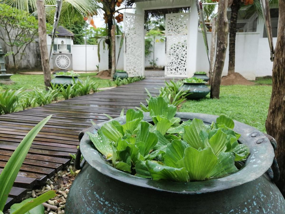 Cocovilla Boutique Resort Bentota Eksteriør bilde